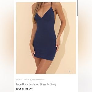 NWT Lucy in the sky dress